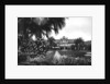 View of Albert I Gardens and the Casino, Nice, South of France by Anonymous