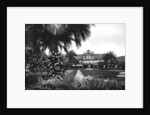 View of Albert I Gardens and the Casino, Nice, South of France by Anonymous