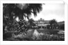 View of Albert I Gardens and the Casino, Nice, South of France by Anonymous