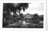 View of Albert I Gardens and the Casino, Nice, South of France by Anonymous
