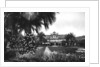 View of Albert I Gardens and the Casino, Nice, South of France by Anonymous