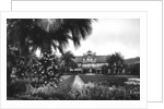 View of Albert I Gardens and the Casino, Nice, South of France by Anonymous
