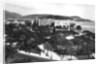 View of Albert I Gardens, Nice, South of France by Anonymous