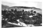 View of Albert I Gardens, Nice, South of France by Anonymous