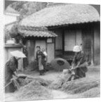 Farmers wives at work, Iwakuni, Japan by Underwood & Underwood