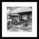 Farmers wives at work, Iwakuni, Japan by Underwood & Underwood