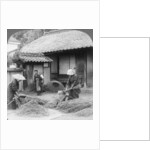 Farmers wives at work, Iwakuni, Japan by Underwood & Underwood