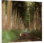 An avenue of cryptomeria (cedar) trees, Nikko, Japan by Underwood & Underwood