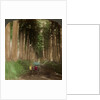 An avenue of cryptomeria (cedar) trees, Nikko, Japan by Underwood & Underwood