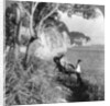 Looking east over 'Mississippi Bay', near Yokohama, Japan by Underwood & Underwood