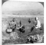 Men gathering rushes near Suzukawa, Fujiyama, Japan by Underwood & Underwood
