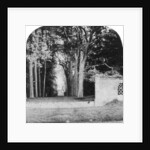 The Avenue, Guy's Cliff, Warwick by Anonymous