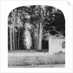 The Avenue, Guy's Cliff, Warwick by Anonymous