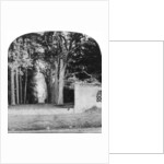 The Avenue, Guy's Cliff, Warwick by Anonymous