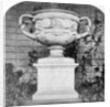 The Warwick Vase, Warwick Castle, Warwick, Warwickshire by Anonymous