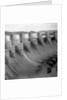 The spillway, Gatun Lock, Panama Canal, Panama by J Dearden Holmes