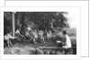 Boys studying nature, Germany by Anonymous