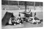 Boys camping, Berlin, Germany by Anonymous