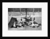 Boys camping, Berlin, Germany by Anonymous