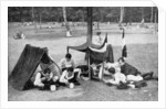 Boys camping, Berlin, Germany by Anonymous