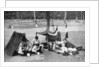 Boys camping, Berlin, Germany by Anonymous