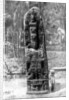 A mystery monolith in the primeval forest of Quirigua, Guatemala by Alfred P Maudsley