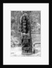 A mystery monolith in the primeval forest of Quirigua, Guatemala by Alfred P Maudsley