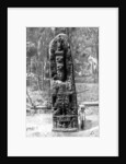 A mystery monolith in the primeval forest of Quirigua, Guatemala by Alfred P Maudsley
