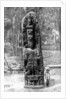 A mystery monolith in the primeval forest of Quirigua, Guatemala by Alfred P Maudsley