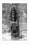 A mystery monolith in the primeval forest of Quirigua, Guatemala by Alfred P Maudsley