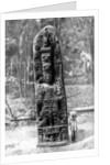 A mystery monolith in the primeval forest of Quirigua, Guatemala by Alfred P Maudsley
