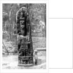 A mystery monolith in the primeval forest of Quirigua, Guatemala by Alfred P Maudsley