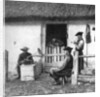 Leisure time for cowherds, Hungary by AW Cutler