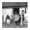 Leisure time for cowherds, Hungary by AW Cutler