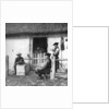 Leisure time for cowherds, Hungary by AW Cutler