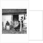 Leisure time for cowherds, Hungary by AW Cutler