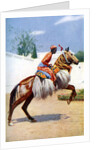 An Arab dancing horse, Udaipur, India by Herbert Ponting