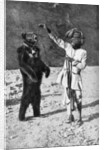 A Punjabi native with a dancing bear, India by Robert Chisham