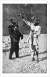 A Punjabi native with a dancing bear, India by Robert Chisham