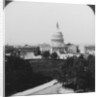The Capitol, Washington, DC, USA by HC White