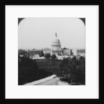 The Capitol, Washington, DC, USA by HC White
