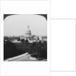 The Capitol, Washington, DC, USA by HC White