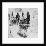 The Greely expedition by BW Kilburn