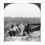 An Italian settler and his family, Mendoza, Argentina by Anonymous