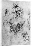 Studies for a 'Madonna Del Gatto' by Leonardo Da Vinci