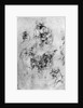 Studies for a 'Madonna Del Gatto' by Leonardo Da Vinci