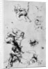 Studies for a 'Madonna Del Gatto' by Leonardo Da Vinci