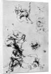 Studies for a 'Madonna Del Gatto' by Leonardo Da Vinci