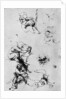 Studies for a 'Madonna Del Gatto' by Leonardo Da Vinci