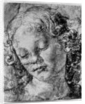 The head of an angel by Andrea del Verrocchio